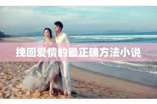 挽回爱情的最正确方法小说