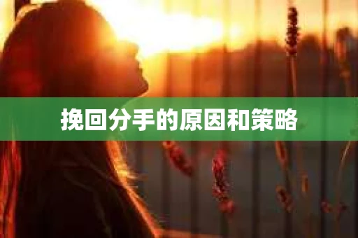 挽回分手的原因和策略