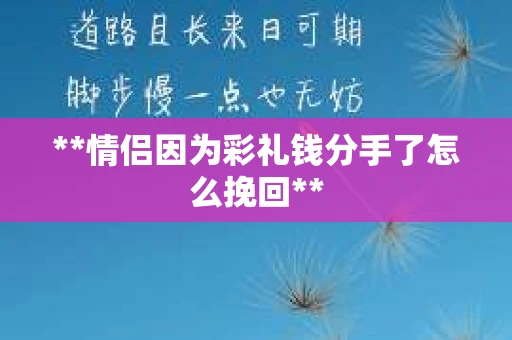 **情侣因为彩礼钱分手了怎么挽回**