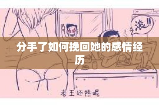 分手了如何挽回她的感情经历