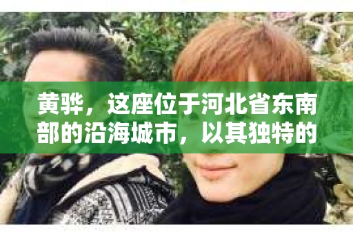 黄骅，这座位于河北省东南部的沿海城市，以其独特的地理位置和丰富的历史文化而闻名。然而，在这座城市中，还有一群人，他们以另一种方式默默守护着社会的公平与正义——私家侦探。今天，我们就来聊聊黄骅的私家侦探，看看他们是如何在这个城市中发挥作用的。