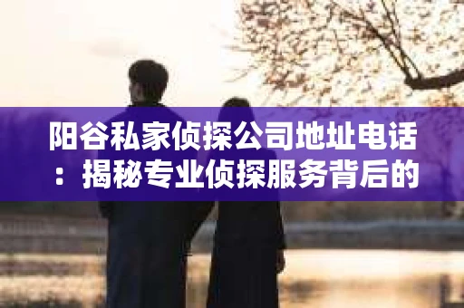 阳谷私家侦探公司地址电话：揭秘专业侦探服务背后的故事