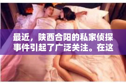 最近，陕西合阳的私家侦探事件引起了广泛关注。在这个信息爆炸的时代，隐私保护显得尤为重要。今天，我们就来聊聊这个事件，看看它背后的一些故事。