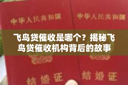 飞鸟贷催收是哪个？揭秘飞鸟贷催收机构背后的故事