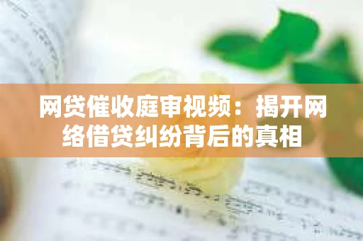 网贷催收庭审视频：揭开网络借贷纠纷背后的真相