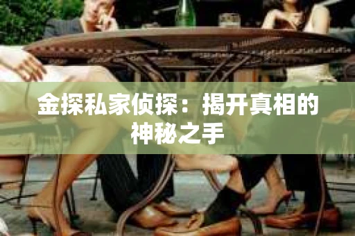 金探私家侦探：揭开真相的神秘之手