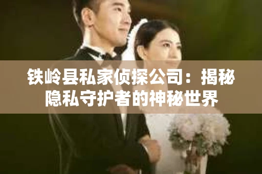 铁岭县私家侦探公司：揭秘隐私守护者的神秘世界
