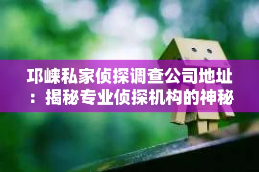 邛崃私家侦探调查公司地址：揭秘专业侦探机构的神秘面纱