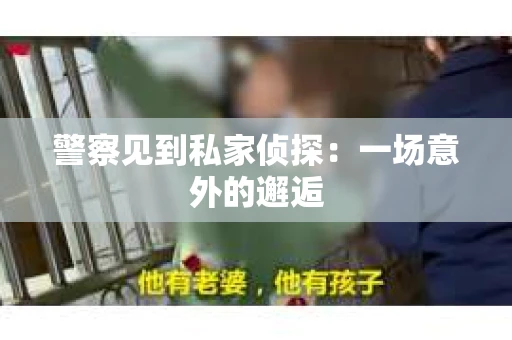 警察见到私家侦探：一场意外的邂逅