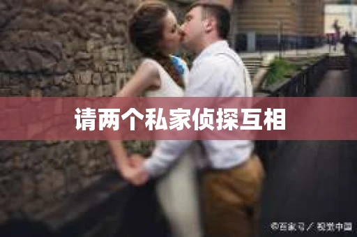 请两个私家侦探互相