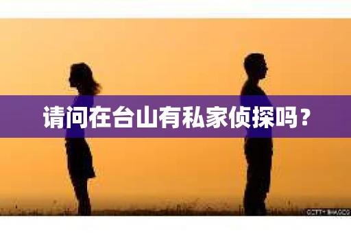 请问在台山有私家侦探吗？