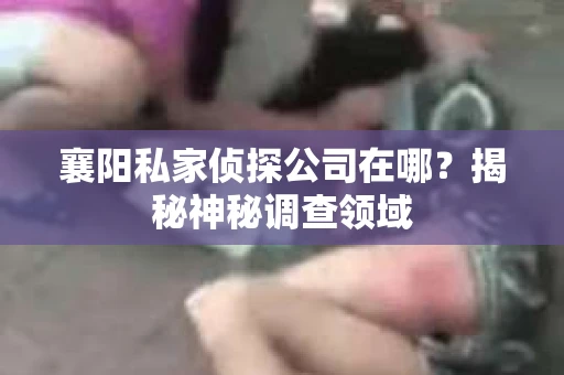 襄阳私家侦探公司在哪？揭秘神秘调查领域