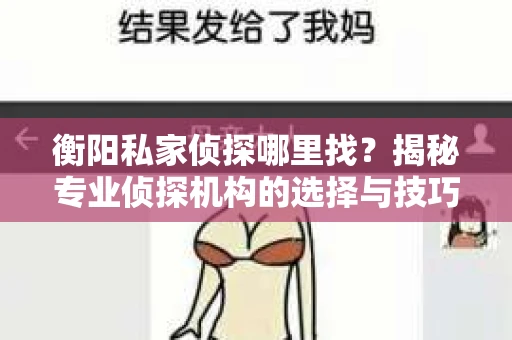 衡阳私家侦探哪里找？揭秘专业侦探机构的选择与技巧