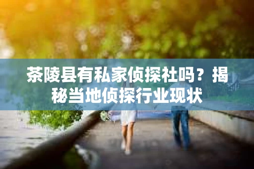 茶陵县有私家侦探社吗？揭秘当地侦探行业现状