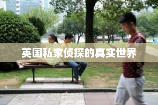 英国私家侦探的真实世界