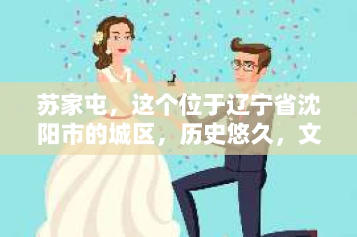 苏家屯，这个位于辽宁省沈阳市的城区，历史悠久，文化底蕴深厚。近年来，随着社会的发展，人们对于私家侦探的需求也逐渐增加。那么，苏家屯有私家侦探吗？今天，我们就来聊聊这个话题。