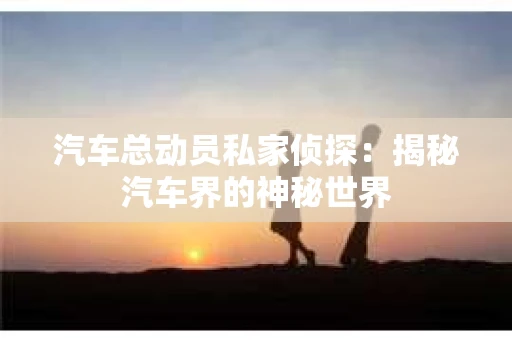 汽车总动员私家侦探：揭秘汽车界的神秘世界