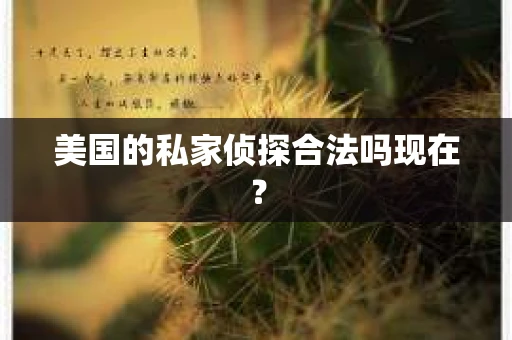 美国的私家侦探合法吗现在？