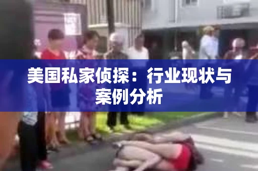 美国私家侦探：行业现状与案例分析