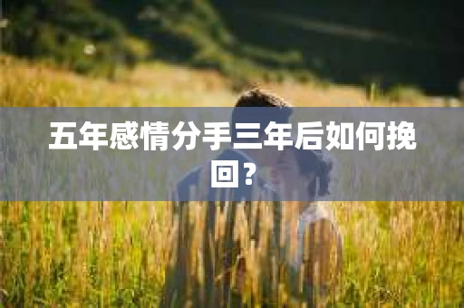 五年感情分手三年后如何挽回？