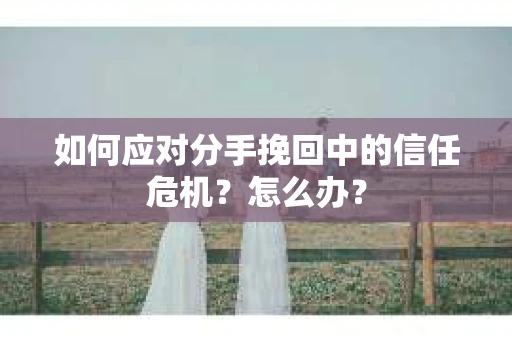 如何应对分手挽回中的信任危机？怎么办？