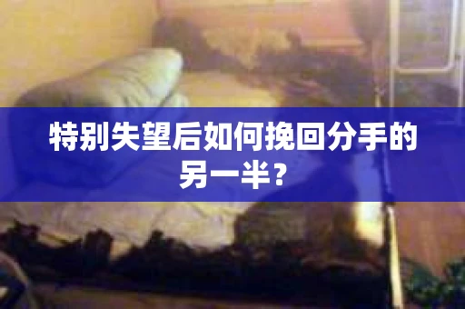 特别失望后如何挽回分手的另一半？