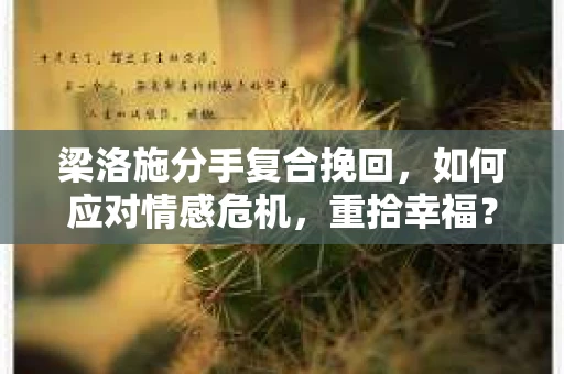 梁洛施分手复合挽回，如何应对情感危机，重拾幸福？
