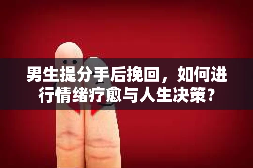 男生提分手后挽回，如何进行情绪疗愈与人生决策？