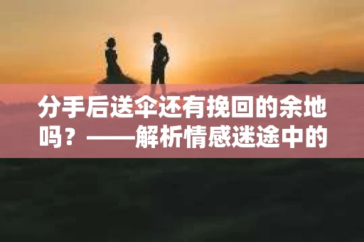分手后送伞还有挽回的余地吗？——解析情感迷途中的决策