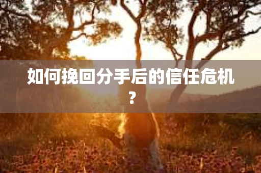 如何挽回分手后的信任危机？