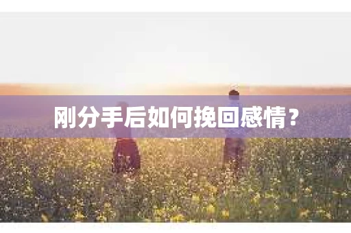 刚分手后如何挽回感情？